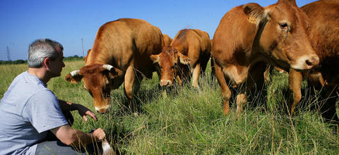 Profil Agriculture